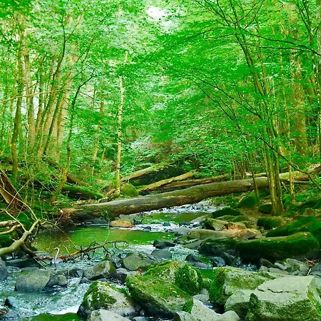 Idyllisches Lappland