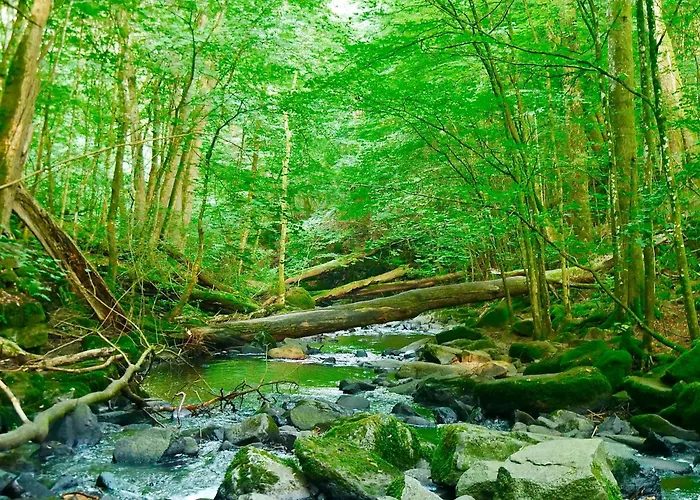 Idyllisches Lappland